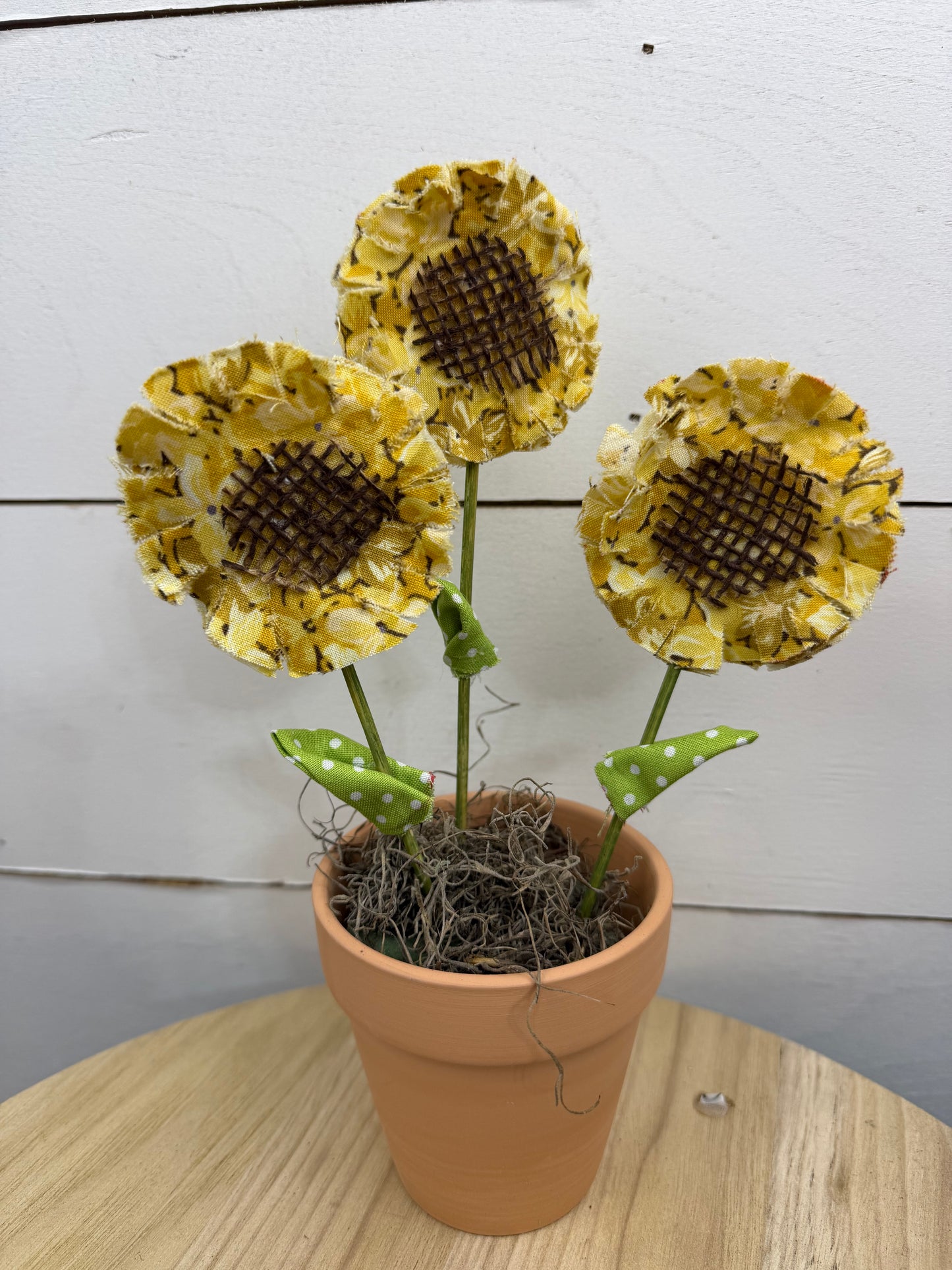 GERBER DAISY AND SUNFLOWER
