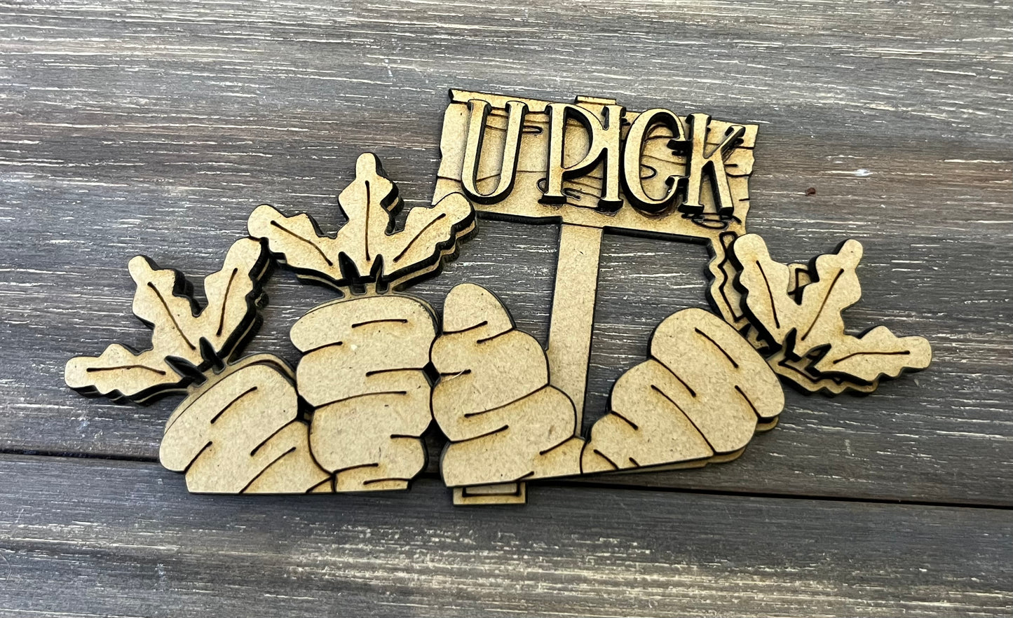 Inserts for mini Apple Basket, Bushel Basket, Crate, Wagon, House,Witch Cauldron