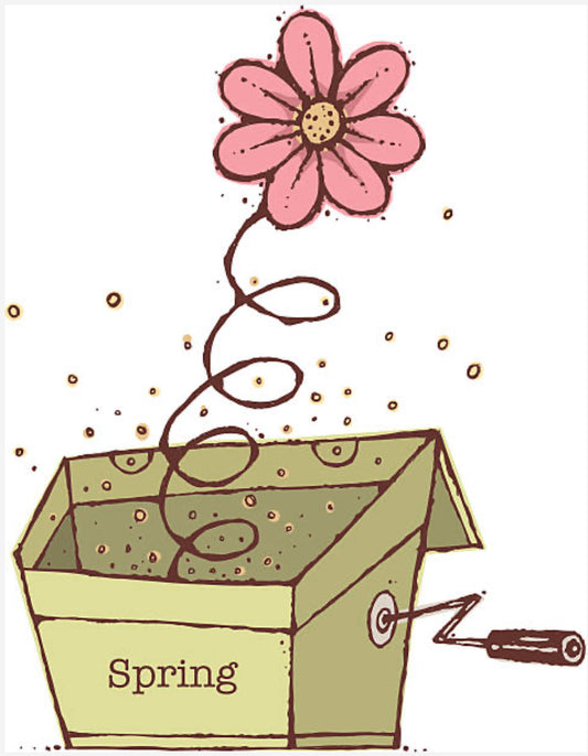 Surprise Spring Box