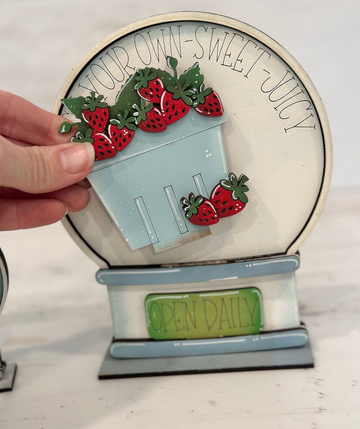 Snow Globe Interchangeable Inserts