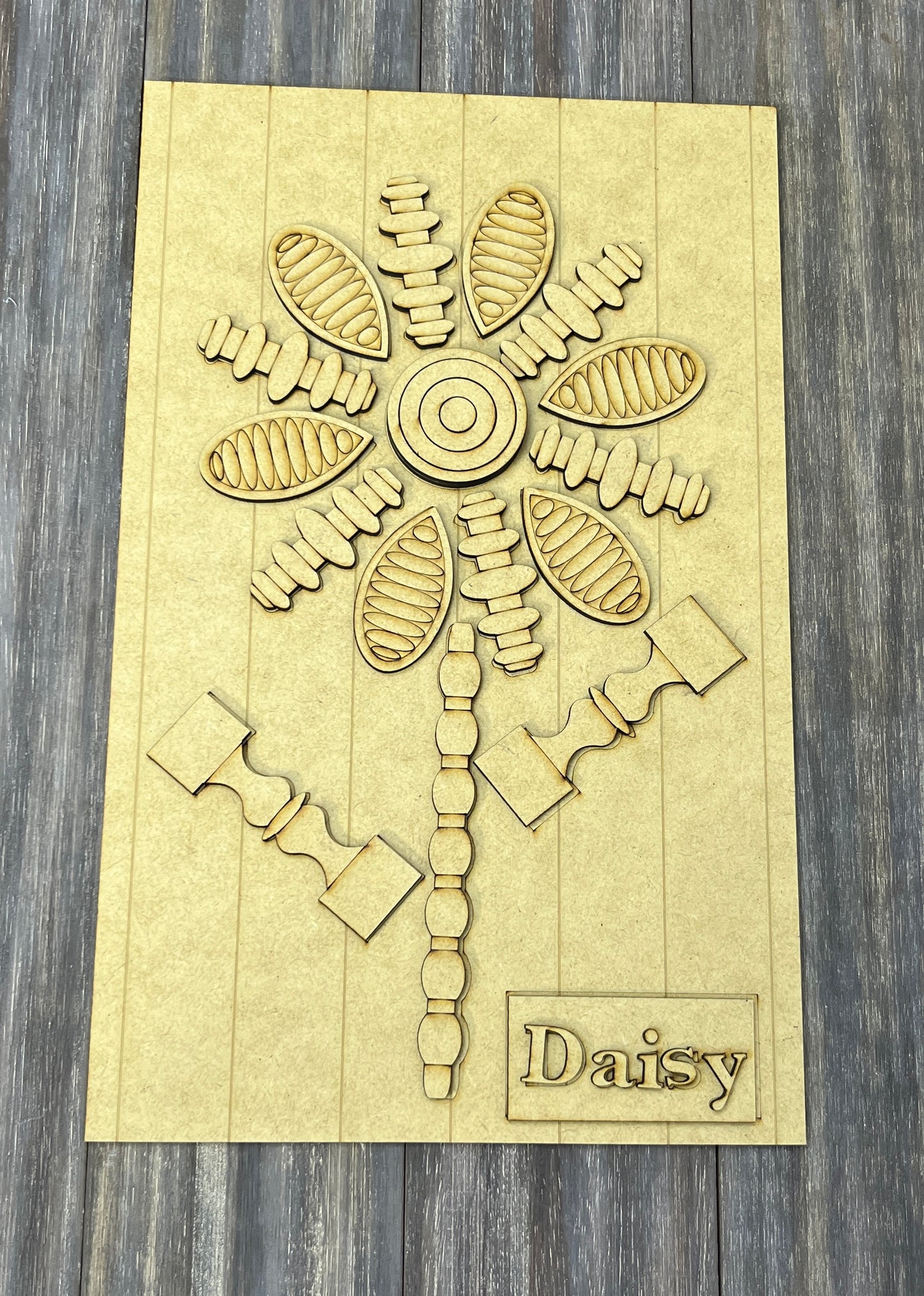 Spindle Dasiy