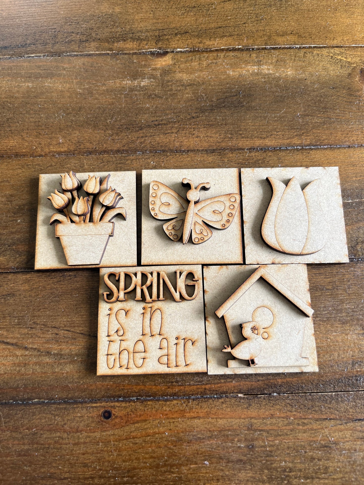 Mini Inserts Spring